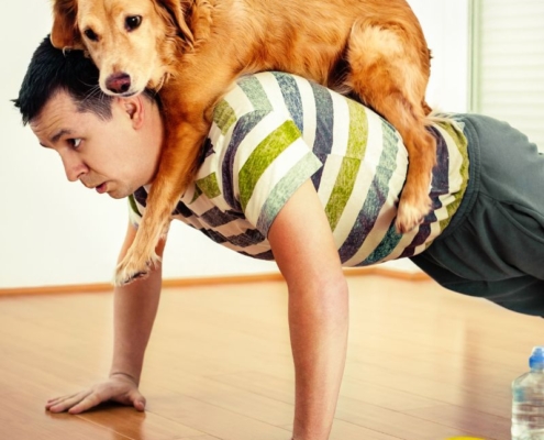 exercise rescue dog