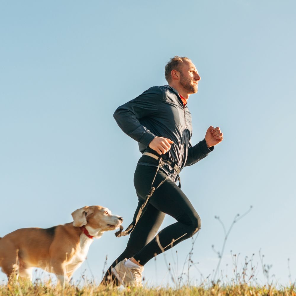 rescue dog exercise